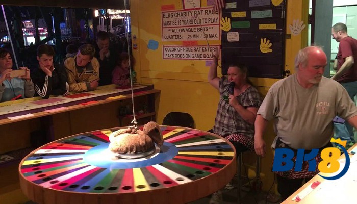 Cerita Unik Tentang Kasino Gerbil Roulette